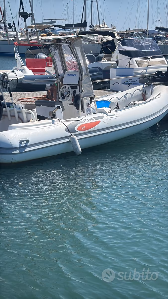 Selva, εισαγωγή Σε απόθεμα στην ΕΕ — φωτο 1