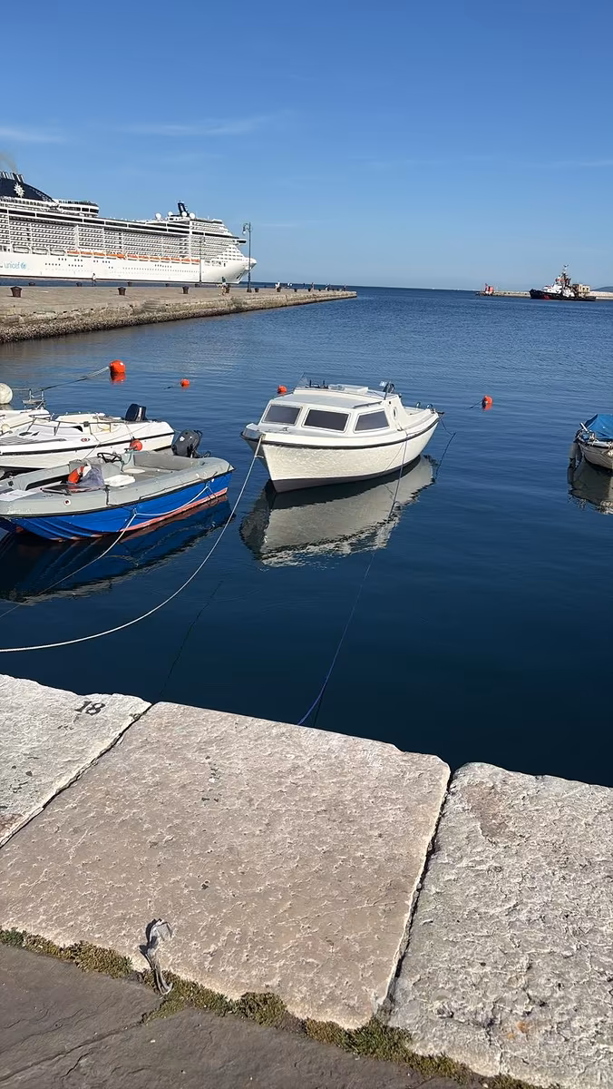 Pilotina, εισαγωγή Σε απόθεμα στην ΕΕ — φωτο 1