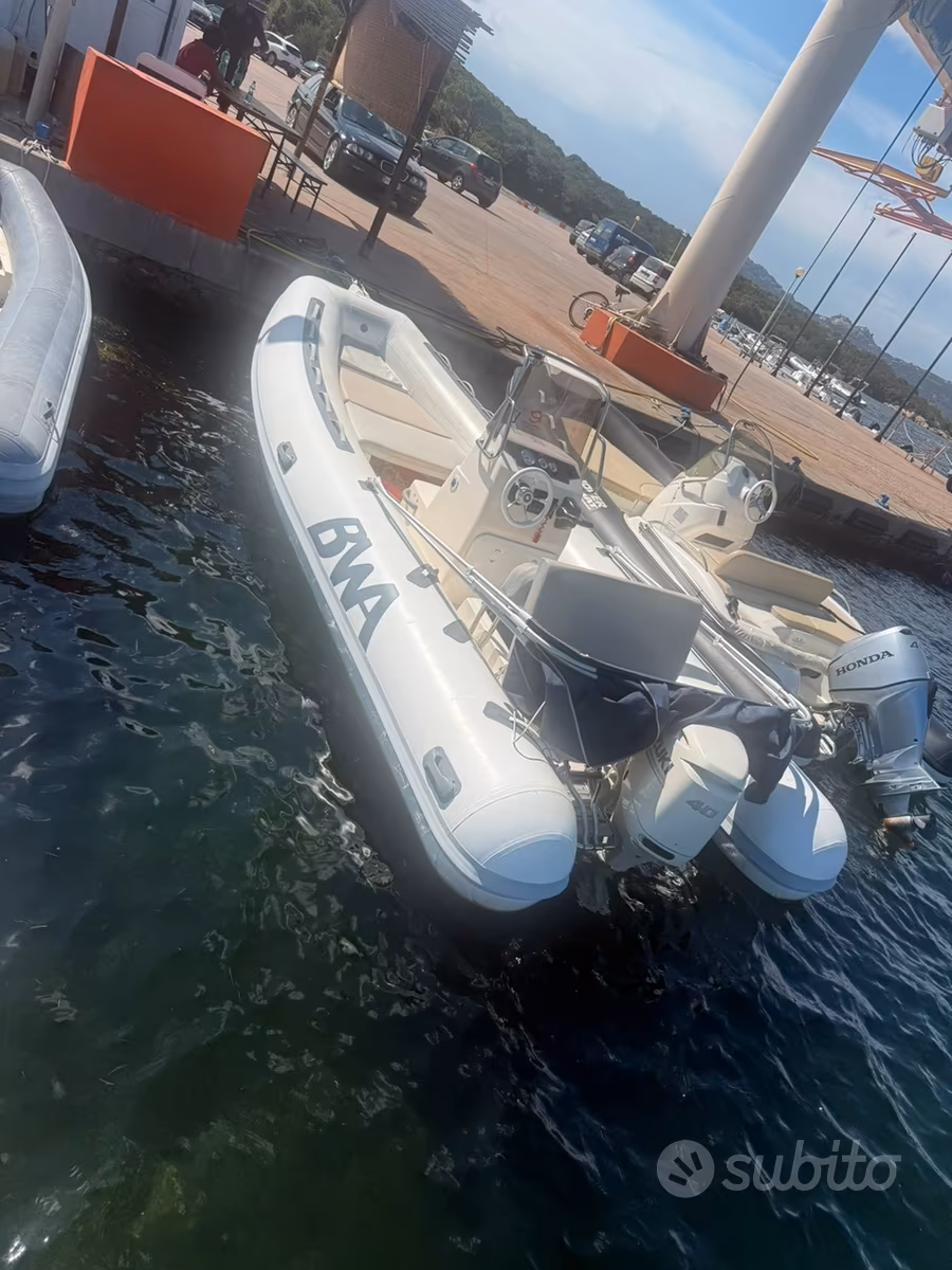 BWA, εισαγωγή Σε απόθεμα στην ΕΕ — φωτο 1