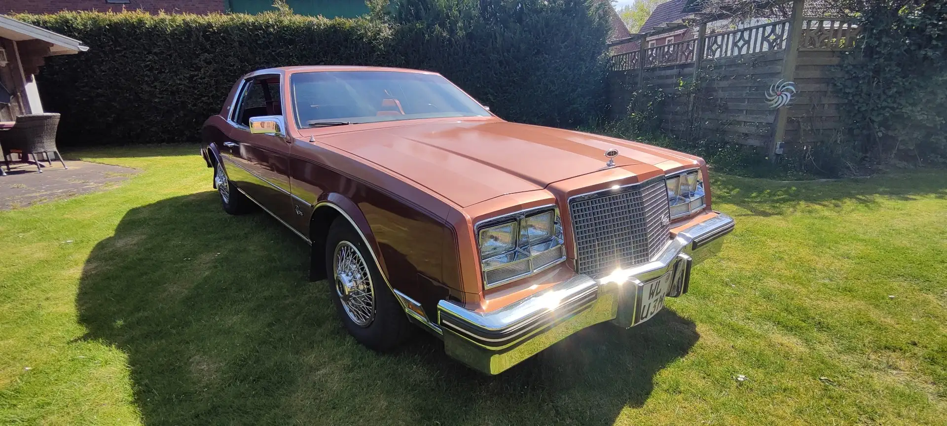 1982 Buick Riviera, 34.500 km, Γερμανία — φωτο 3 z 12