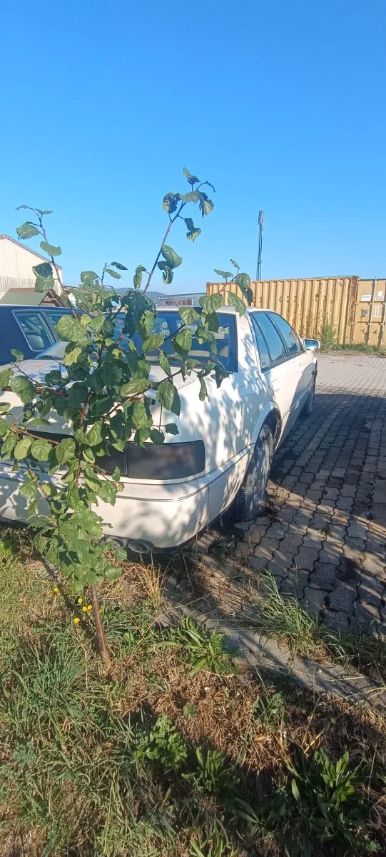 1998 Cadillac Eldorado, 200.000 km, Αυστρία — φωτο 10 z 31