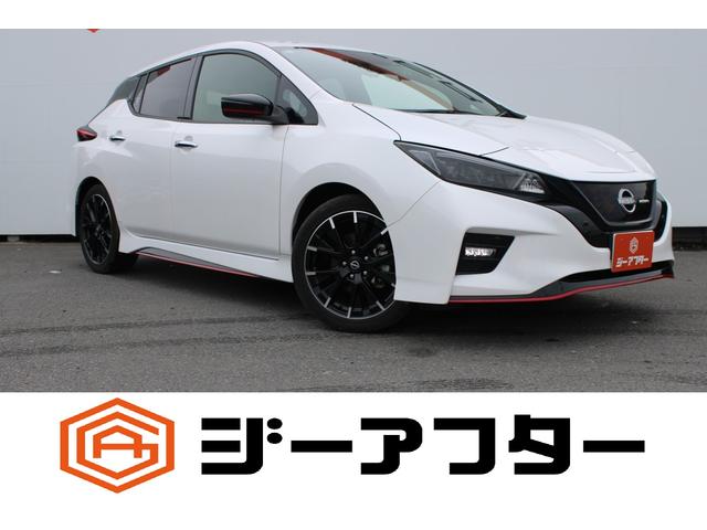 Nissan Leaf, εισαγωγή Ιαπωνία — φωτο 1