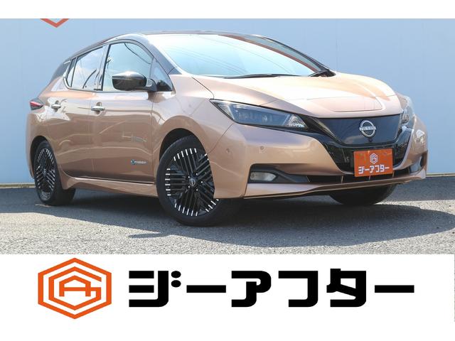 Nissan Leaf, εισαγωγή Ιαπωνία — φωτο 1