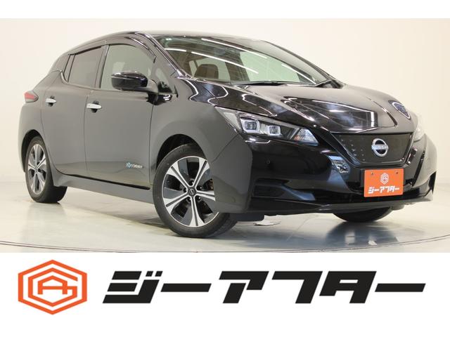 Nissan Leaf, εισαγωγή Ιαπωνία — φωτο 1