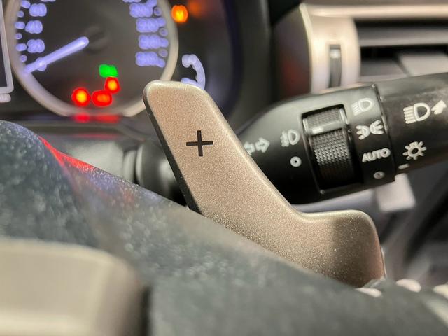 Lexus Is, εισαγωγή Ιαπωνία — φωτο 11 z 40