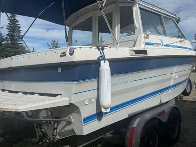 Bayliner, εισαγωγή ΗΠΑ — φωτο 2 z 8
