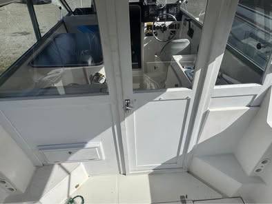 Bayliner, εισαγωγή ΗΠΑ — φωτο 4 z 8