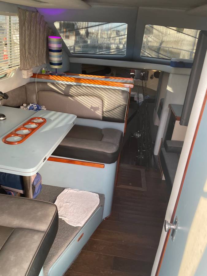 Sea Ray, εισαγωγή ΗΠΑ — φωτο 6 z 12