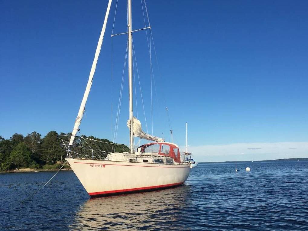Catalina, εισαγωγή ΗΠΑ — φωτο 1