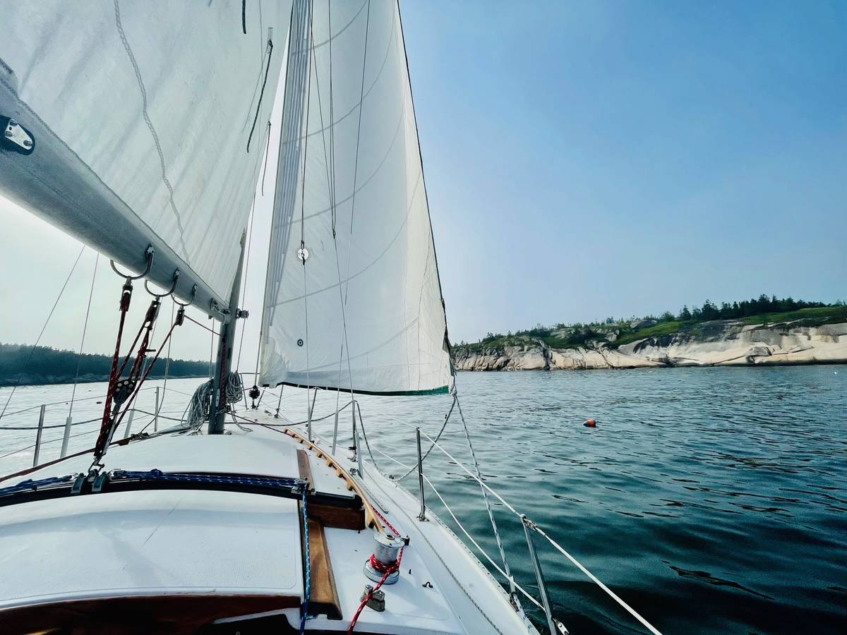 Catalina, εισαγωγή ΗΠΑ — φωτο 4 z 12