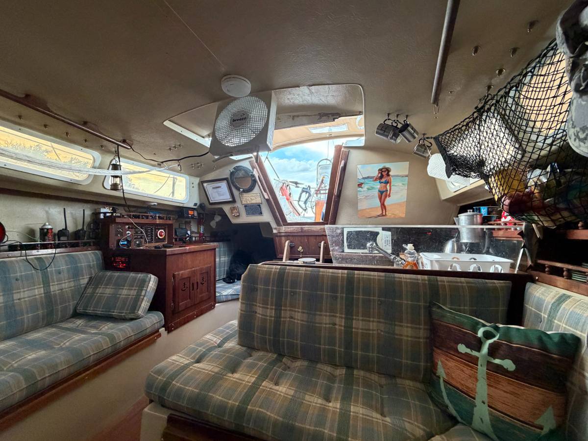 1981 Catalina, εισαγωγή ΗΠΑ — φωτο 8 z 12