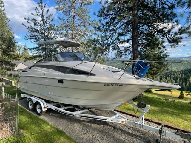 Bayliner, εισαγωγή ΗΠΑ — φωτο 1