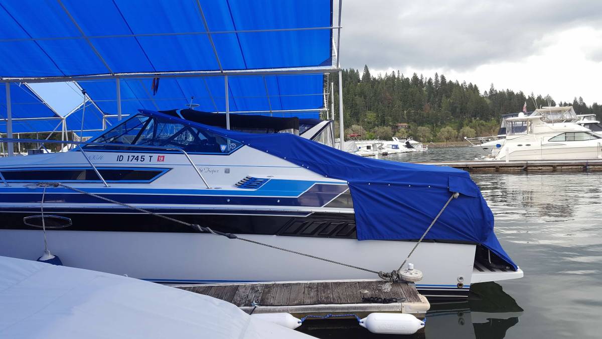 1986 Wellcraft, εισαγωγή ΗΠΑ — φωτο 2 z 12