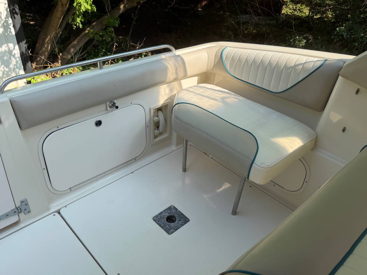 Bayliner, εισαγωγή ΗΠΑ — φωτο 11 z 12
