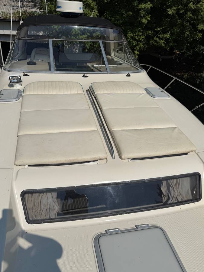 Bayliner, εισαγωγή ΗΠΑ — φωτο 4 z 12