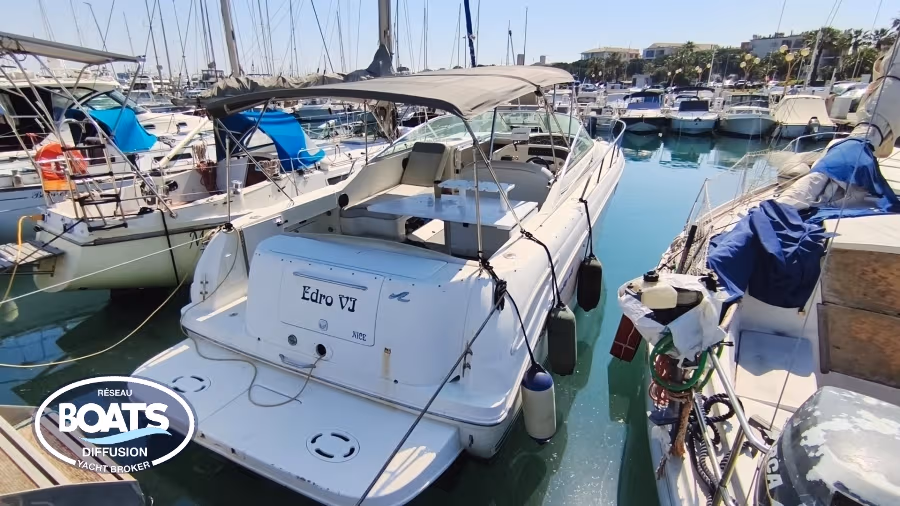 Sea Ray, εισαγωγή Σε απόθεμα στην ΕΕ — φωτο 1