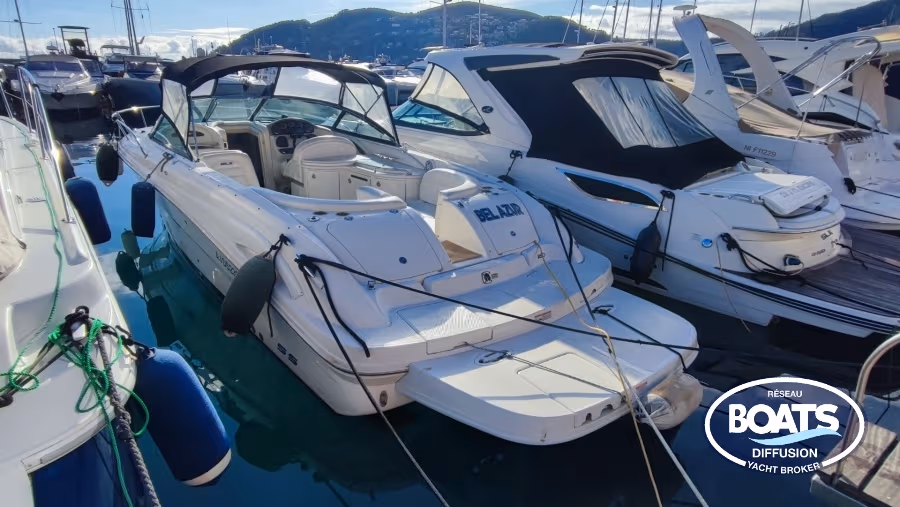 Sea Ray, εισαγωγή Σε απόθεμα στην ΕΕ — φωτο 1