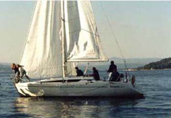 Atlantic 31, εισαγωγή Σε απόθεμα στην ΕΕ — φωτο 2 z 2