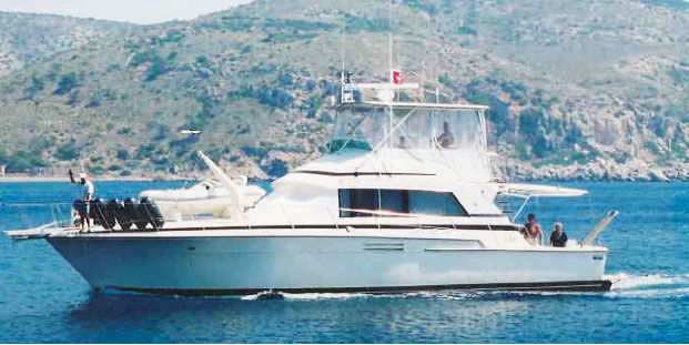 Bertram 54, εισαγωγή Σε απόθεμα στην ΕΕ — φωτο 1 z 6 Bertram 54, εισαγωγή Σε απόθεμα στην ΕΕ — φωτο 1 z 6