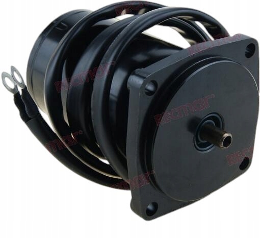 Motor Trymera Suzuki Df40, Df50x-k10 (1999-10) Tmy99-00, Σε απόθεμα στην ΕΕ — φωτο 1